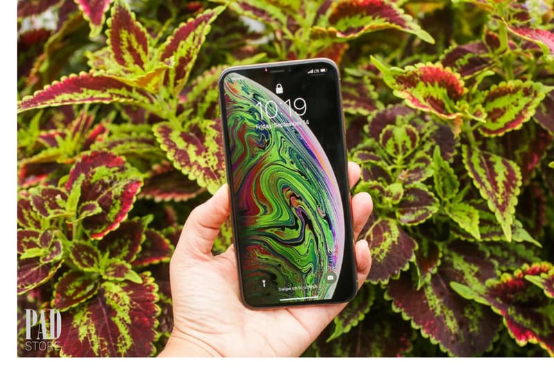 Màn hình iPhone Xs Max sắc nét từng chi tiết.